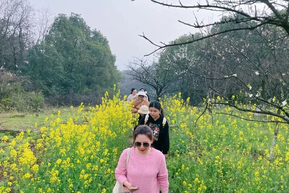 獻(xiàn)禮3.8節(jié)|勇做攀登者，奮進(jìn)新未來